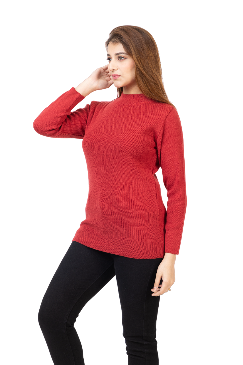 6040 Calvin Soft And Warm Skivvy Winter Wear TWENTY ME