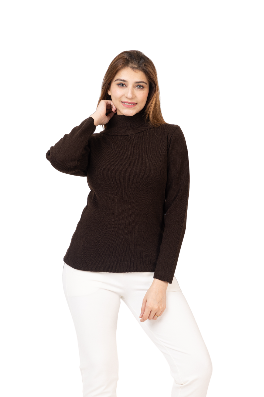 6041 Brown Soft And Warm High Neck Skivvy Winter Wear TWENTY ME