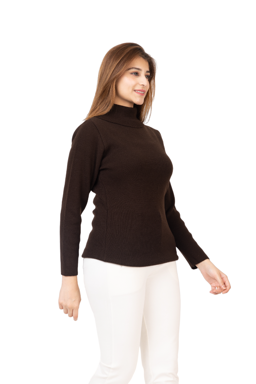 6041 Brown Soft And Warm High Neck Skivvy Winter Wear TWENTY ME