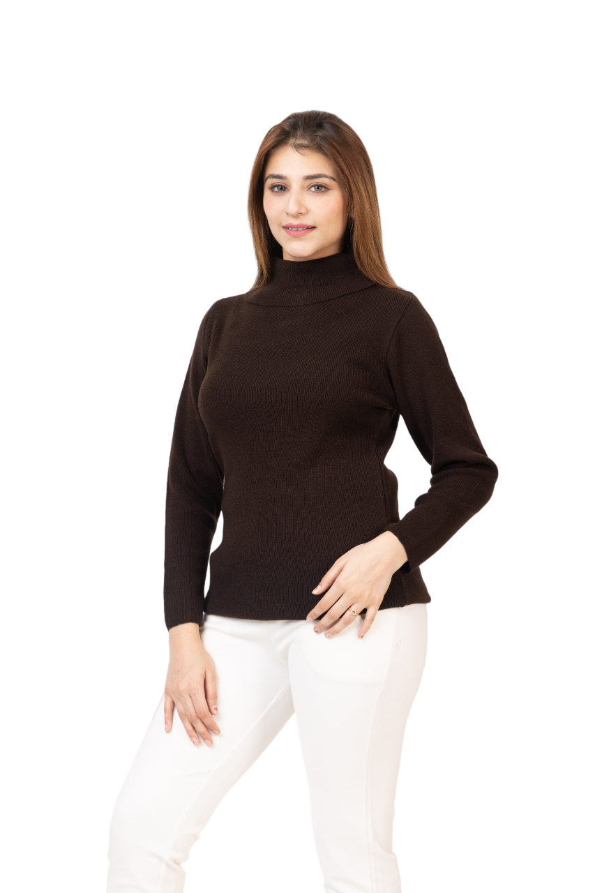 6041 Brown Soft And Warm High Neck Skivvy Winter Wear TWENTY ME