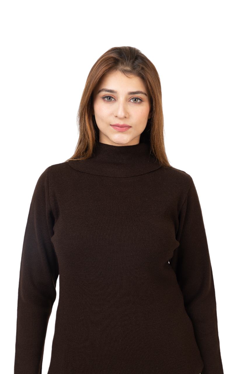 6041 Brown Soft And Warm High Neck Skivvy Winter Wear TWENTY ME