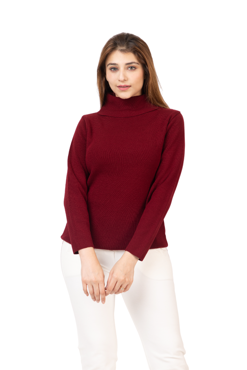 6041 Maroon Soft And Warm High Neck Skivvy Winter Wear TWENTY ME