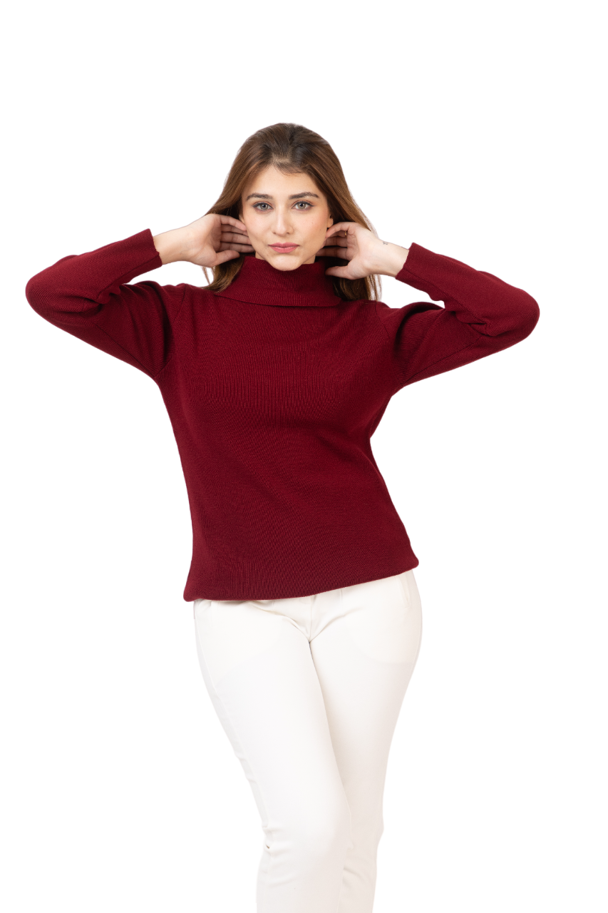 6041 Maroon Soft And Warm High Neck Skivvy Winter Wear TWENTY ME