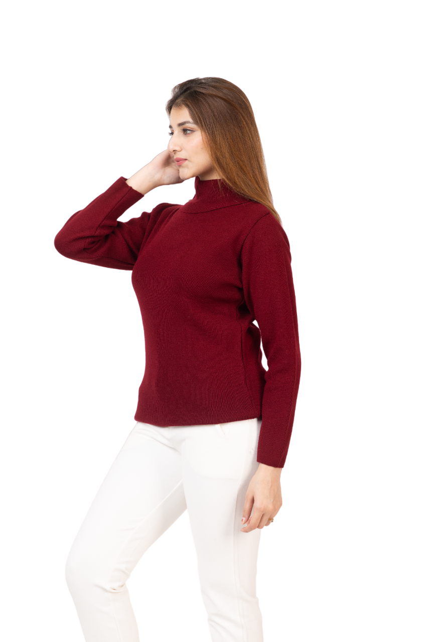 6041 Maroon Soft And Warm High Neck Skivvy Winter Wear TWENTY ME